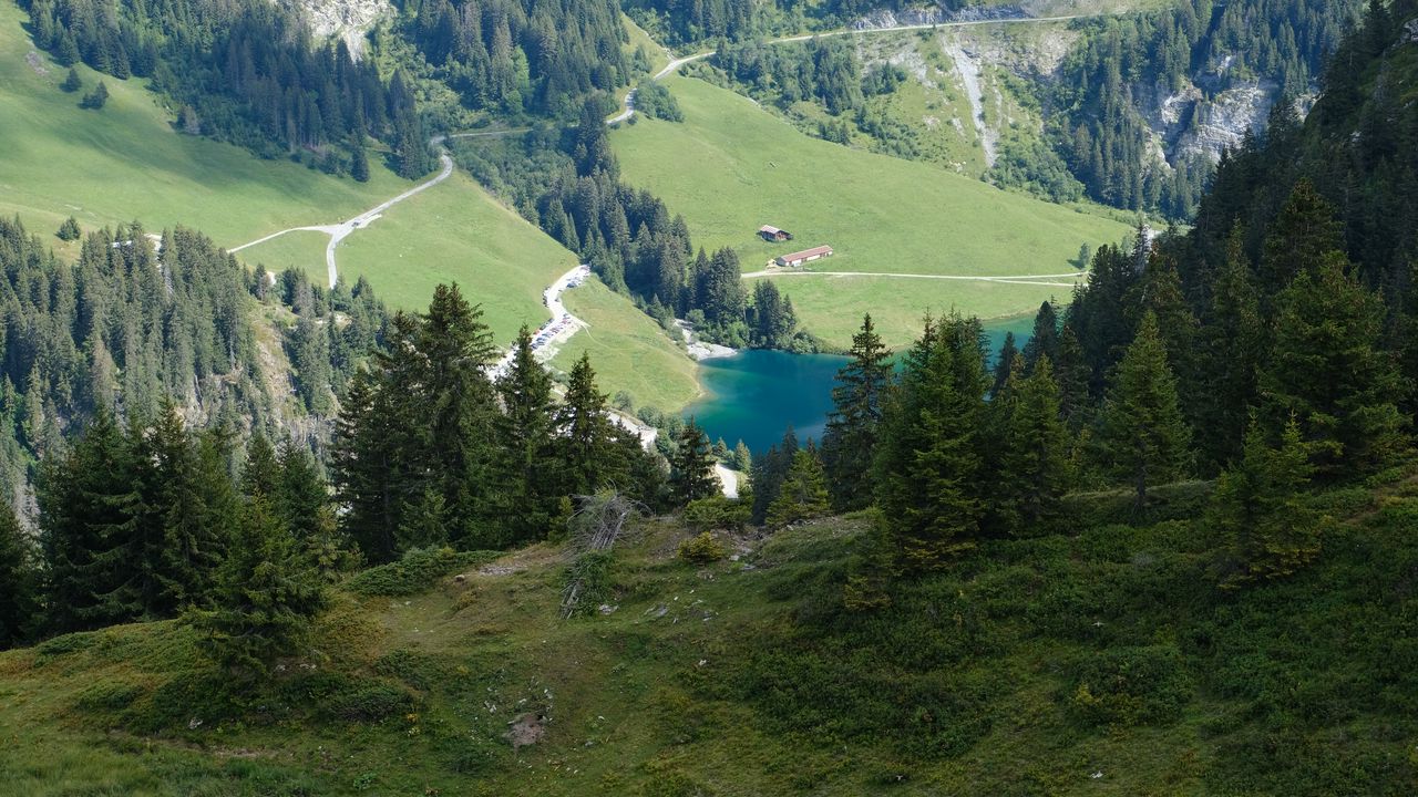 Wallpaper hills, trees, lake, landscape