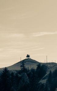 Preview wallpaper hills, trees, landscape, landform, hilly