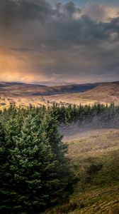 Preview wallpaper hills, trees, landscape, view, nature