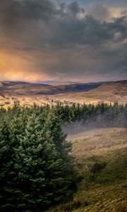 Preview wallpaper hills, trees, landscape, view, nature