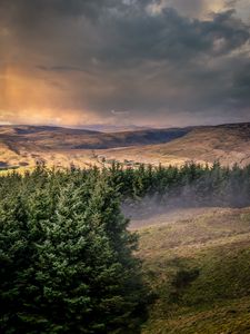 Preview wallpaper hills, trees, landscape, view, nature
