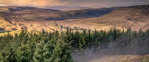 Preview wallpaper hills, trees, landscape, view, nature