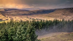 Preview wallpaper hills, trees, landscape, view, nature