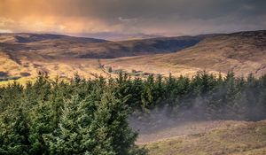 Preview wallpaper hills, trees, landscape, view, nature
