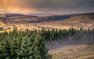 Preview wallpaper hills, trees, landscape, view, nature
