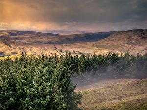 Preview wallpaper hills, trees, landscape, view, nature