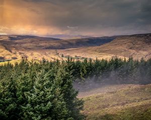 Preview wallpaper hills, trees, landscape, view, nature