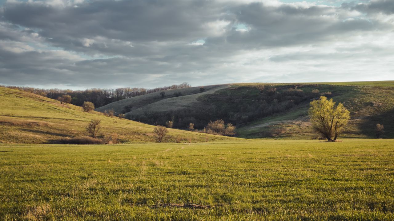 Wallpaper hills, trees, landscape, nature hd, picture, image