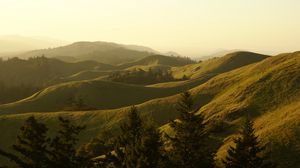 Preview wallpaper hills, trees, landscape, nature, green