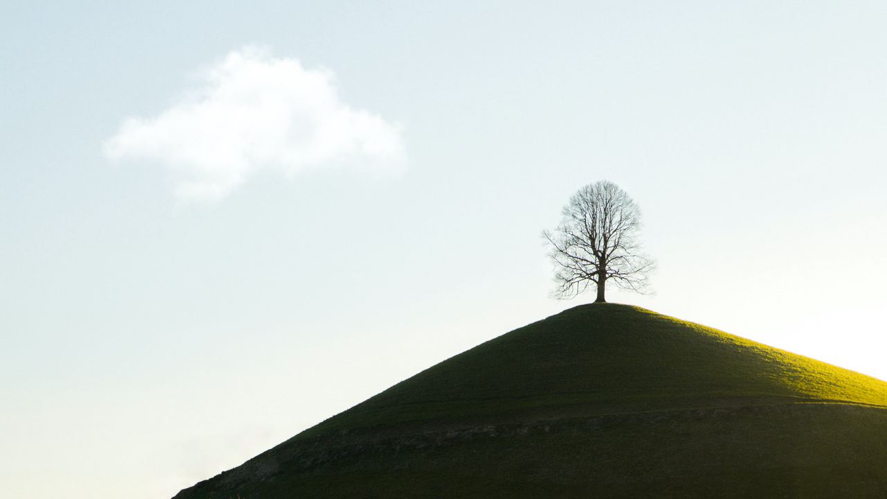 Wallpaper hills, trees, nature, landscape, green