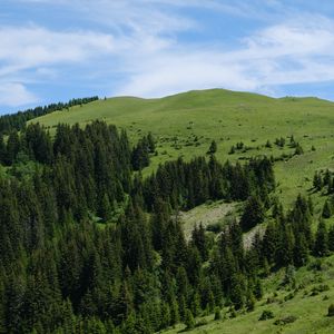 Preview wallpaper hills, trees, nature, landscape, aerial view
