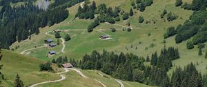Preview wallpaper hills, trees, paths, houses