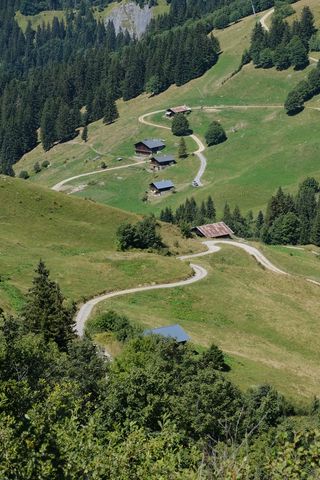 320x480 Wallpaper hills, trees, paths, houses