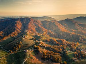 Preview wallpaper hills, trees, relief, nature, aerial view
