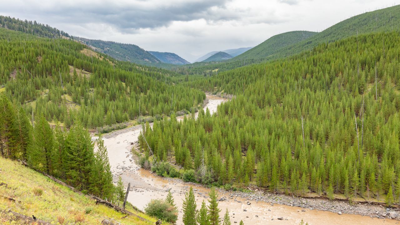 Wallpaper hills, trees, river, nature, landscape hd, picture, image