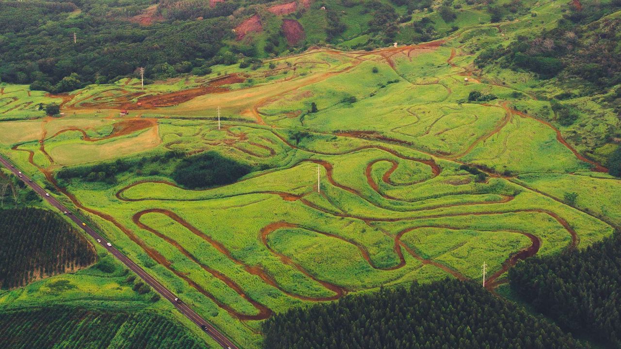 Wallpaper hills, trees, road, aerial view