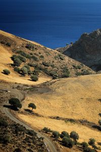 Preview wallpaper hills, trees, road, sea