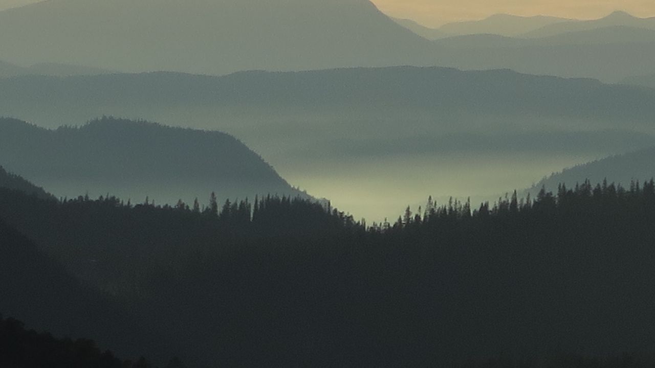 Wallpaper hills, trees, silhouettes, dark
