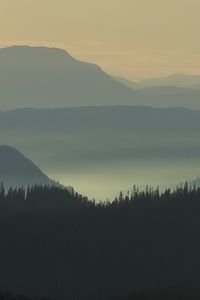 Preview wallpaper hills, trees, silhouettes, dark