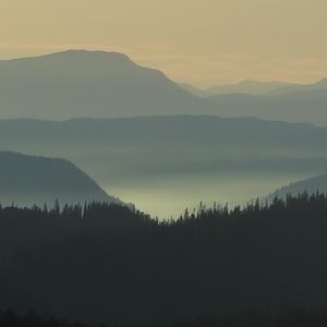 Preview wallpaper hills, trees, silhouettes, dark