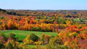 Preview wallpaper hills, trees, sky, autumn