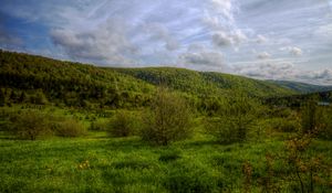 Preview wallpaper hills, trees, sky, landscape