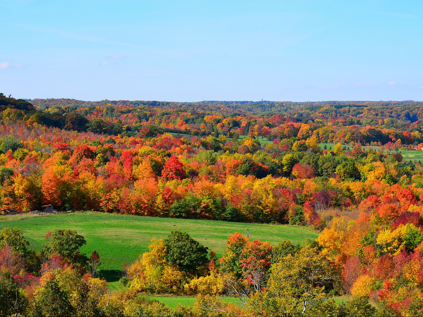 Download wallpaper 1600x1200 hills, trees, sky, autumn standard 4:3 hd ...