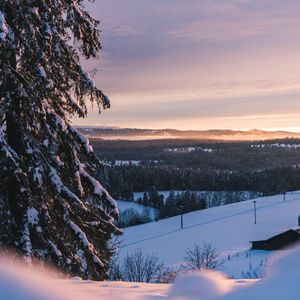 Preview wallpaper hills, trees, snow, winter, landscape
