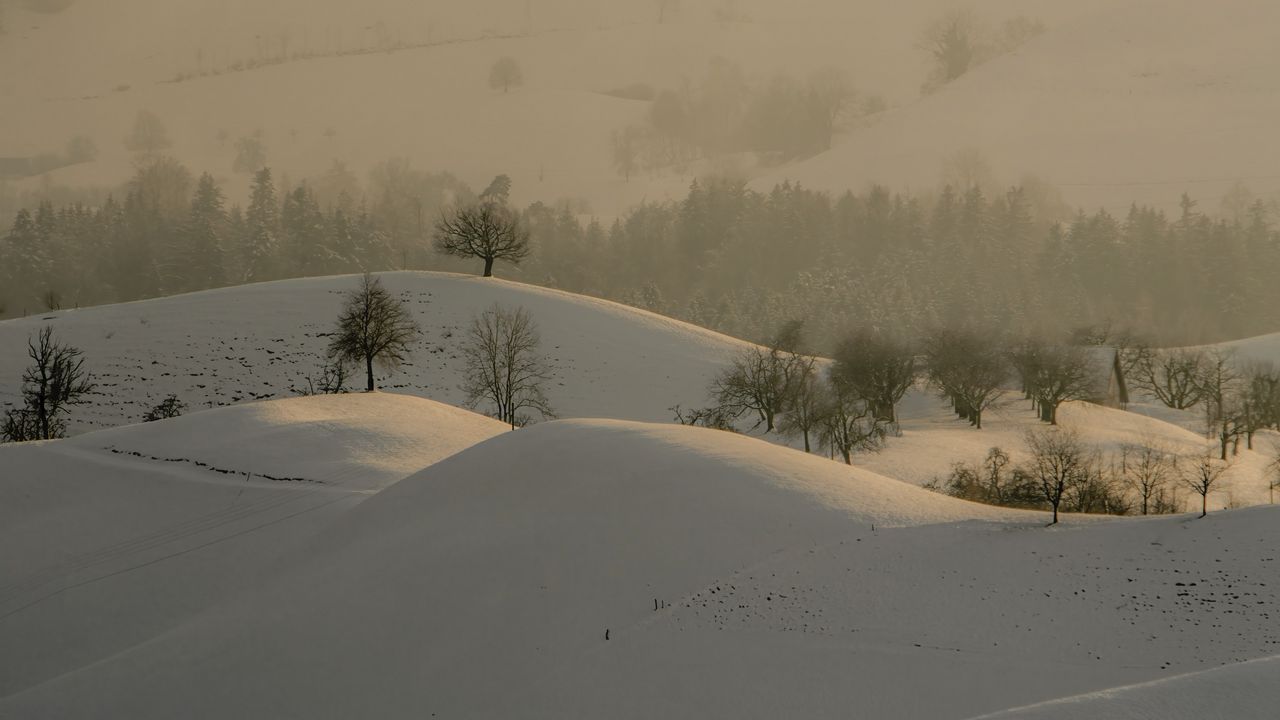 Wallpaper hills, trees, snow, landscape, winter