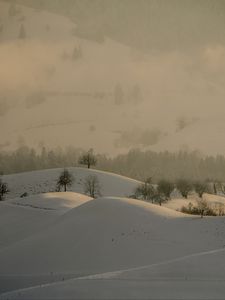 Preview wallpaper hills, trees, snow, landscape, winter