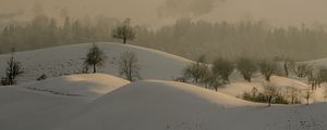 Preview wallpaper hills, trees, snow, landscape, winter
