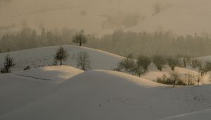 Preview wallpaper hills, trees, snow, landscape, winter