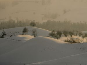 Preview wallpaper hills, trees, snow, landscape, winter