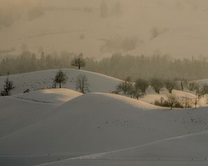 Preview wallpaper hills, trees, snow, landscape, winter