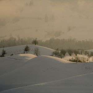 Preview wallpaper hills, trees, snow, landscape, winter