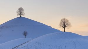 Preview wallpaper hills, trees, snow, winter