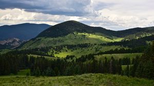 Preview wallpaper hills, trees, spruce, grass