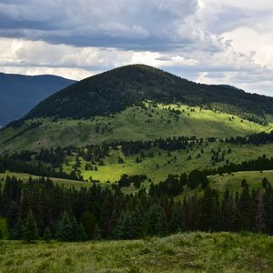 Preview wallpaper hills, trees, spruce, grass