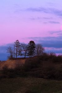 Preview wallpaper hills, trees, sunset, nature, purple