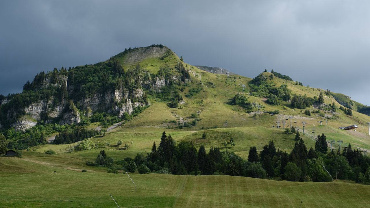 Wallpaper hills, trees, valley, landscape, nature