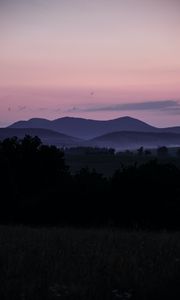 Preview wallpaper hills, twilight, bushes, sky, evening