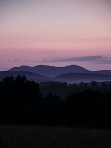 Preview wallpaper hills, twilight, bushes, sky, evening