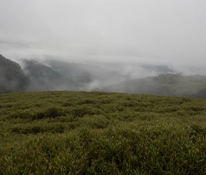 Preview wallpaper hills, valley, fog, landscape