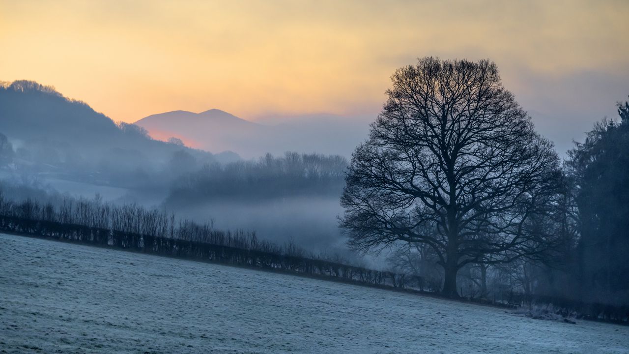 Wallpaper hillside, trees, snow, sunrise, fog, nature