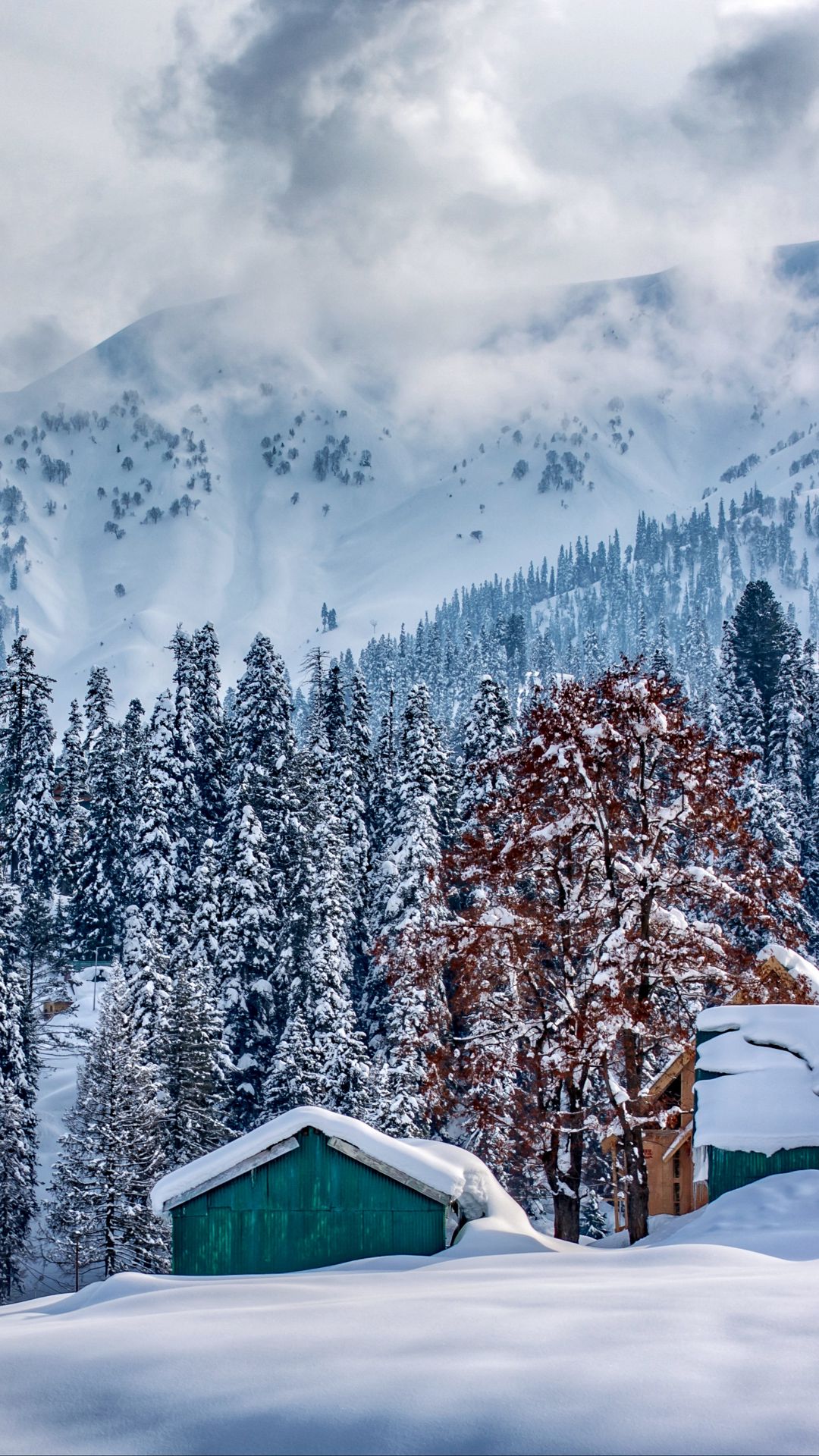 Himalaya, dãy núi hùng vĩ nổi tiếng toàn cầu, nằm trên địa bàn Kashmir. Những ngọn núi cao ngất trời, cùng những cảnh quan kỳ vỹ xung quanh tạo nên một bức tranh độc đáo và đẹp mê hồn mà không thể nào quên được. Đến với Kashmir, du khách sẽ được trải nghiệm khoảnh khắc đắm chìm giữa những ngọn núi mờ sương và không khí tươi mát của núi rừng Himalaya.