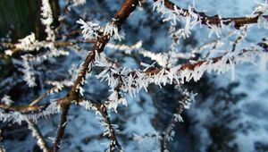 Preview wallpaper hoarfrost, branch, frost, crystals, macro