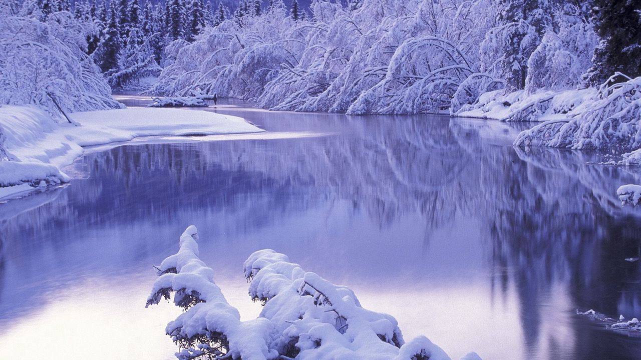 Wallpaper hoarfrost, morning, winter, lake, trees, snowdrifts