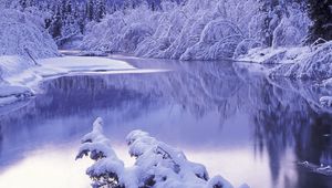 Preview wallpaper hoarfrost, morning, winter, lake, trees, snowdrifts