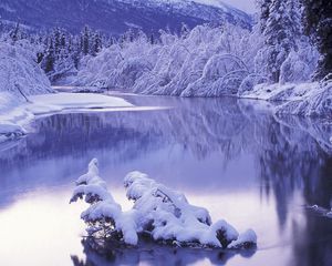 Preview wallpaper hoarfrost, morning, winter, lake, trees, snowdrifts