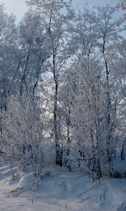 Preview wallpaper hoarfrost, trees, road, roadside, snow, winter